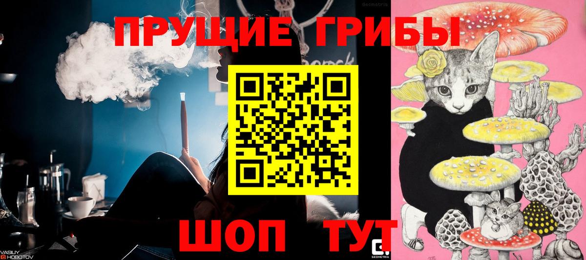 Псилоцибиновые грибы MAGIC MUSHROOMS  Вход с VPN  Первоуральск 