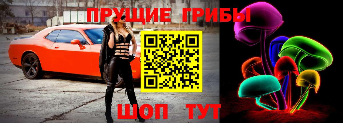 Галлюциногенные грибы Psilocybe Первоуральск